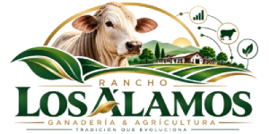 Rancho Los Álamos